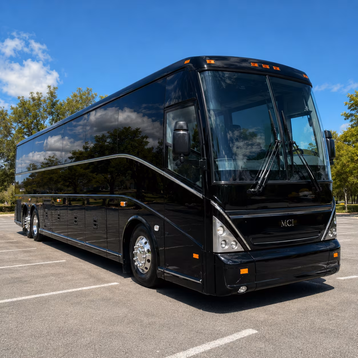 science field trips to natural bridge caverns and enchanted rock from leander